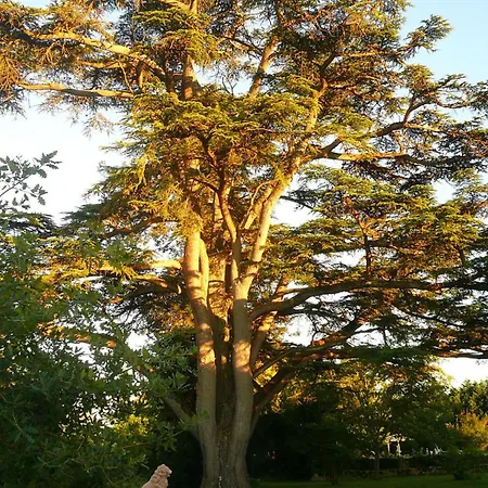 Couette-café Chartreuse De Dane