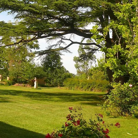 Chartreuse De Dane Couette-café