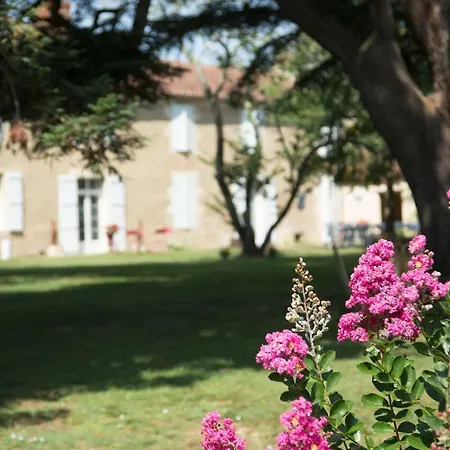 Chartreuse De Dane Saint-Jean-Poutge