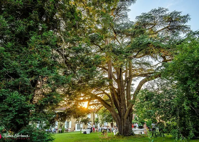 Bed & Breakfast Chartreuse De Dane Saint-Jean-Poutge