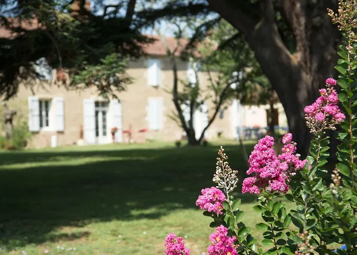 Chartreuse De Dane Saint-Jean-Poutge